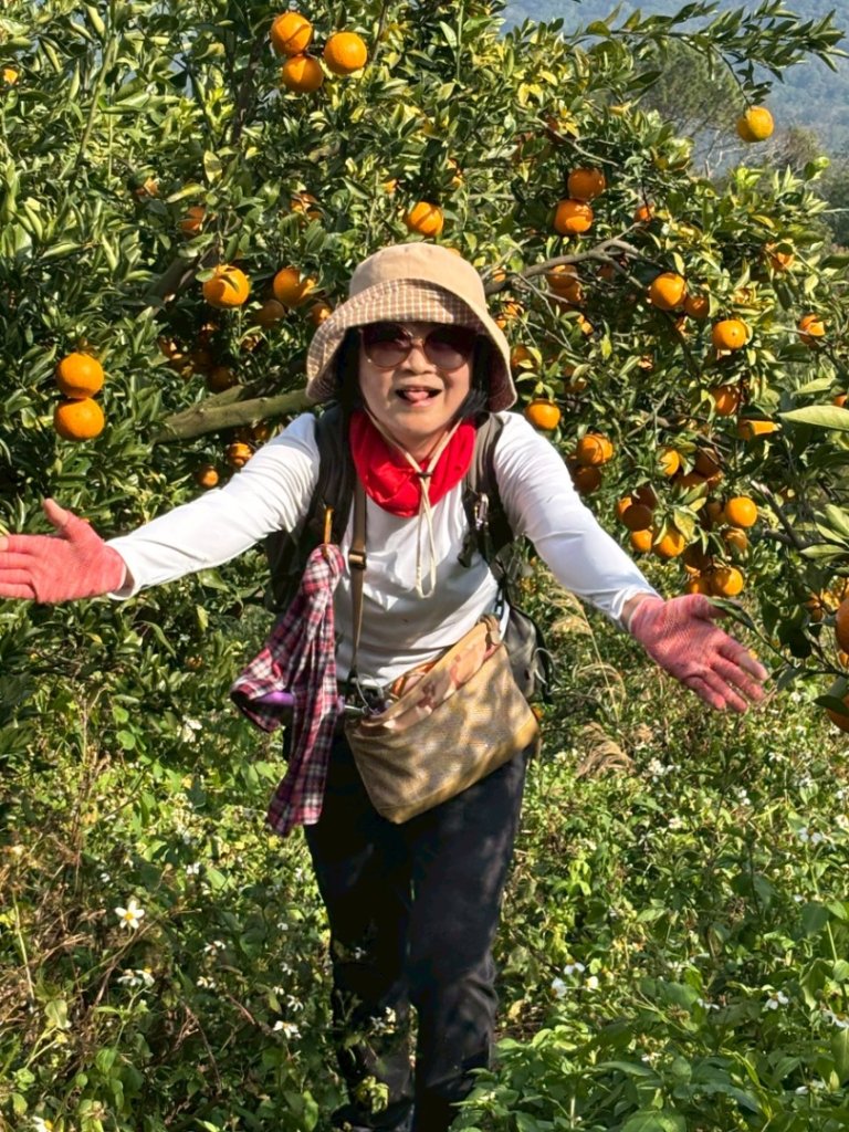 20260119飛沙縱走東段加碼9連峰大O走_2988993