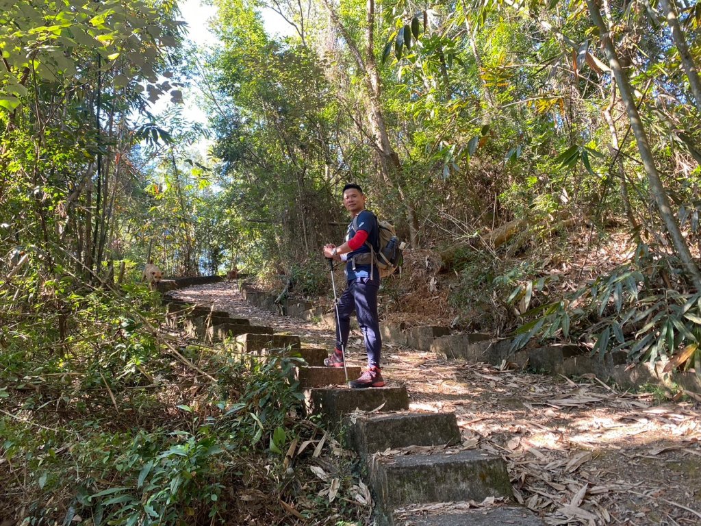 風櫃斗.牛稠坑.二坪山古道【遙知不是雪，為有暗香來】_2703869