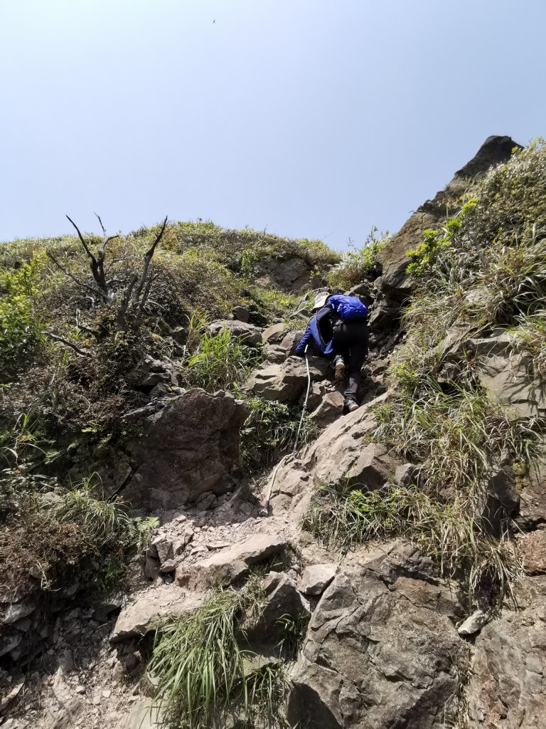 燦光寮古道O型_935155