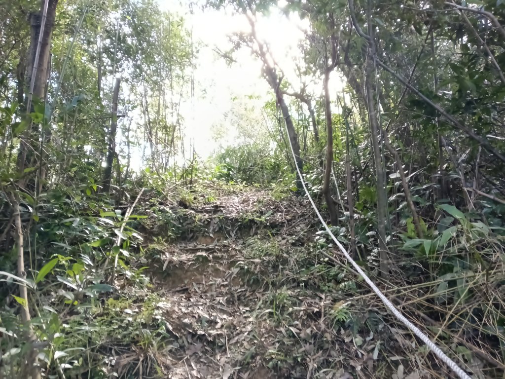 基隆市/萬里區界寮縱走之三界山+三界山西峰+開眼尖山+七分寮山+瑪七產道山泉水接水亭_2979593