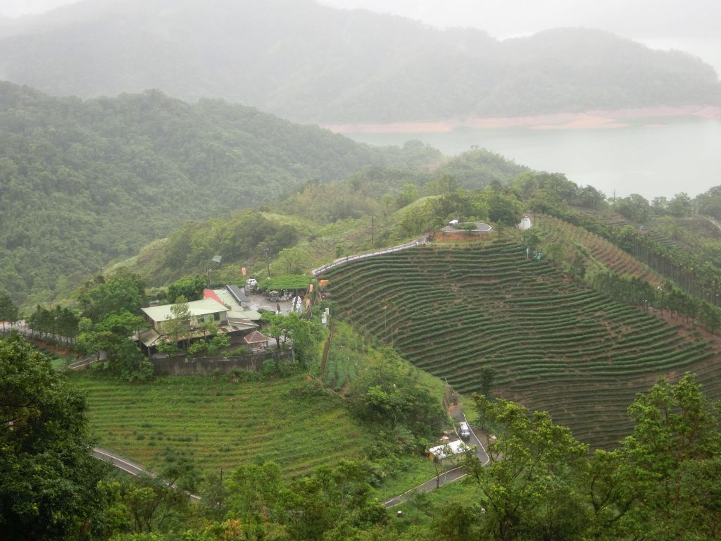 千島湖．八卦茶園．永安景觀步道_162621