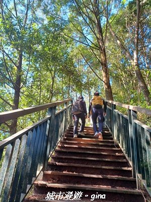 【南投魚池】郊山好視野。 金龍山(槌仔寮山)步道_2976296