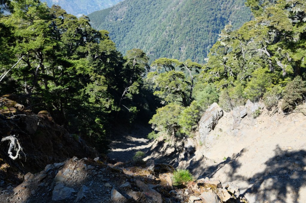 郡大山列 | 郡大西南稜順訪龍貓公車下對關出東埔_2426043