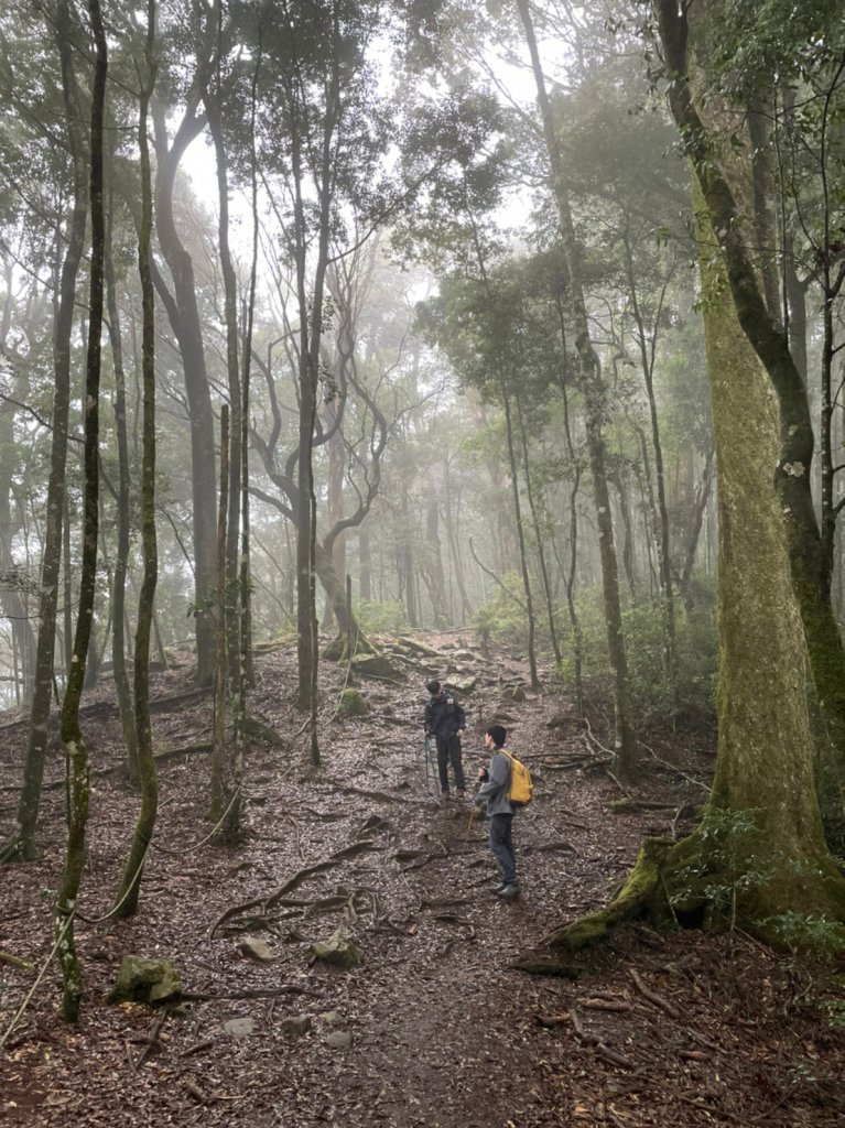 台中｜和平 屋我尾山_1661734