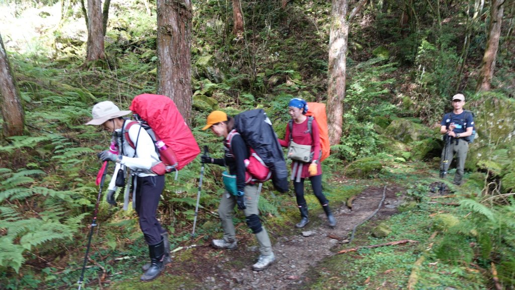 雙龍林道上巒安堂西巒大山_1778726