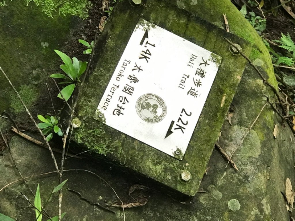 花蓮-大禮步道（得卡倫步道起登）_2037622