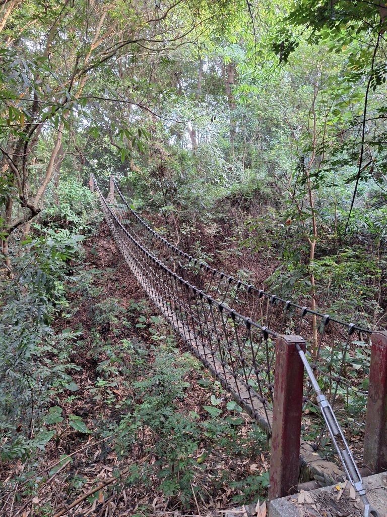 桃源里森林步道+龍鳳谷步道+坑子內山20250906_2880237