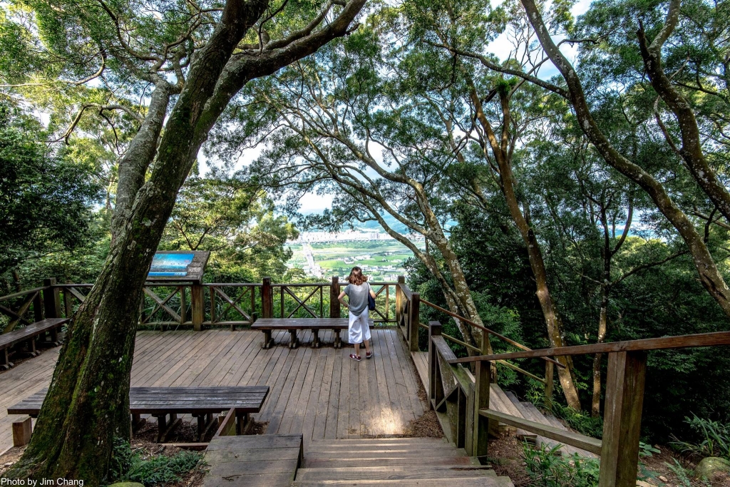 新竹飛鳳山-觀日坪古道_46892