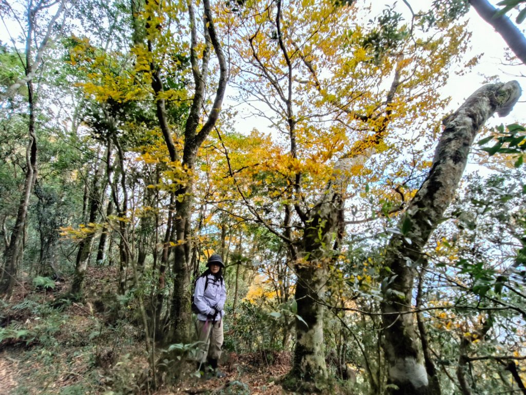 1121125 鳥嘴山縱走貴妃山_2363974