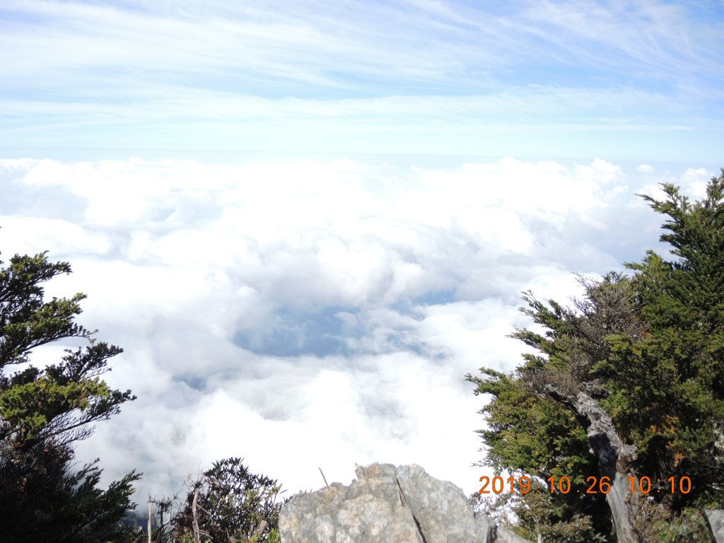 北大武山杜鵑林步道，喜多利斷崖及稜線鐵杉_716725