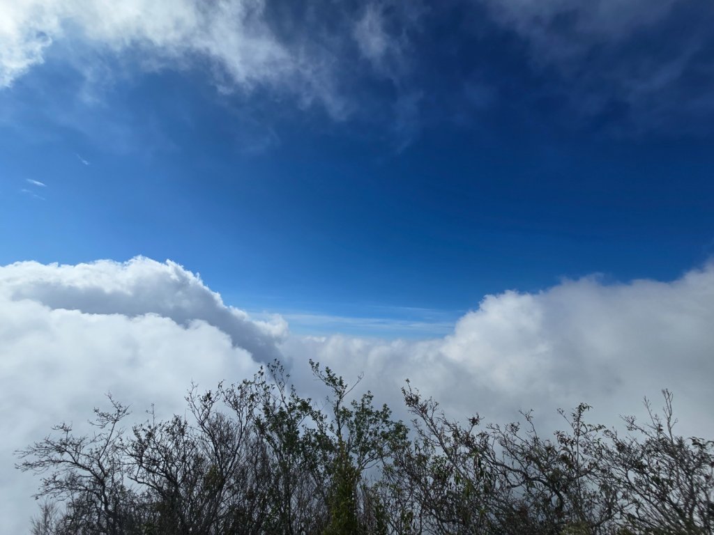 北大武山（喜多麗斷崖）雲海、雲霧、耶穌光之美_2467604