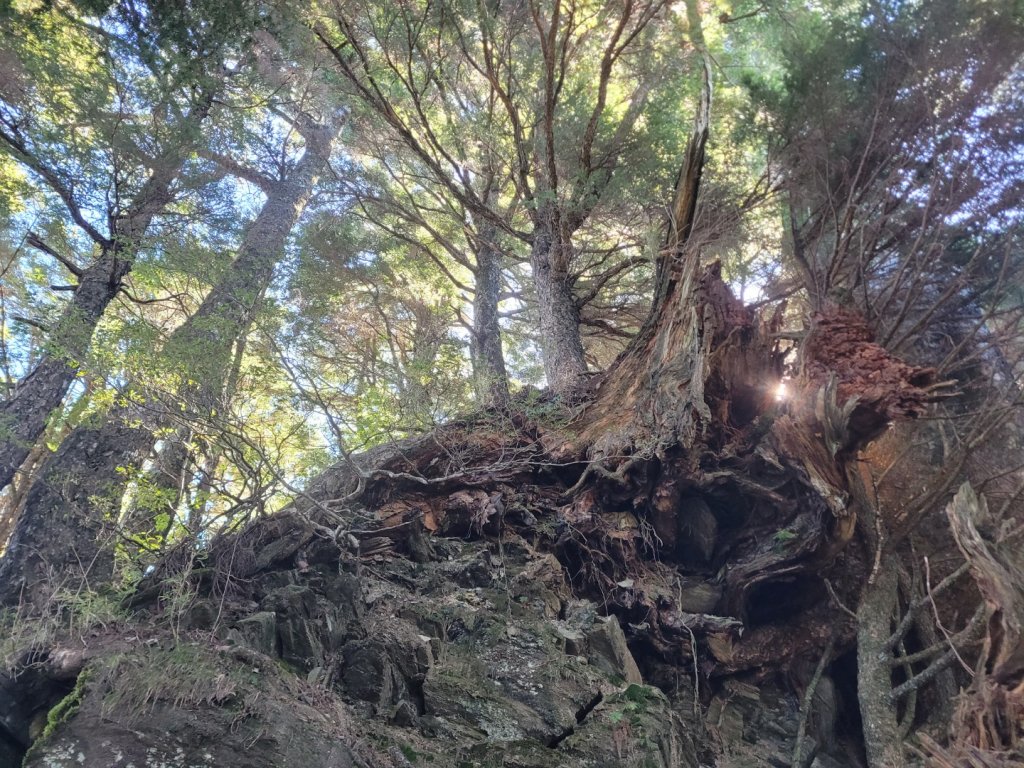 20231103 南一段四天_2355788