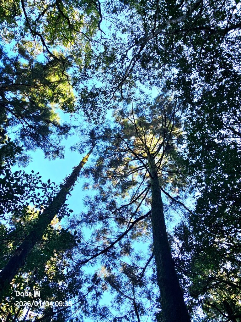 20260104源茂山.源茂山西峰.和尚髻山O走+親水觀魚步道_2977697