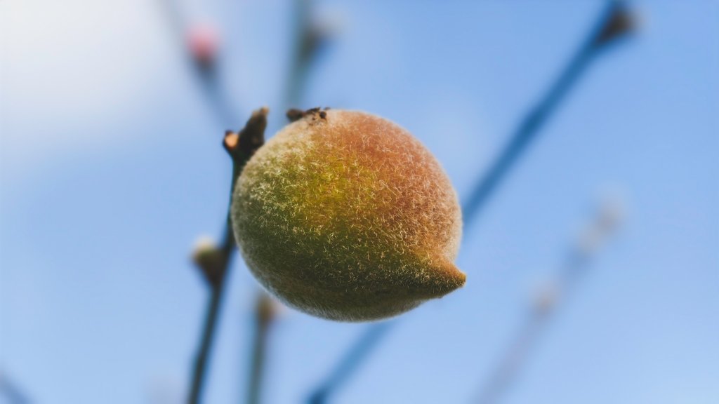 【蛇年走春】高雄桃源 • 世外桃源封面圖