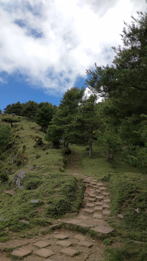 鹿林山步道_1774783