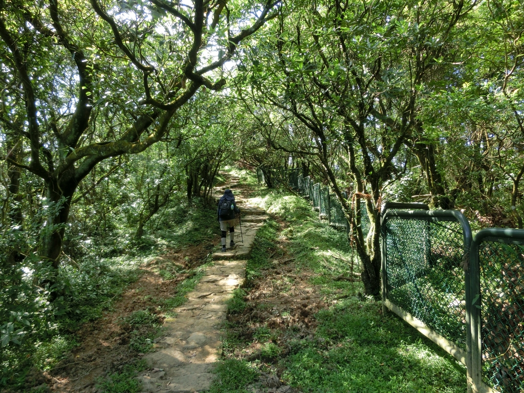 風櫃嘴．頂山．石梯嶺．擎天崗_94337