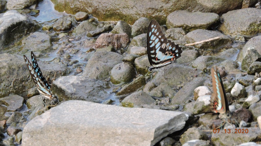 就是喜歡這個藍天白雲的FU_1032101