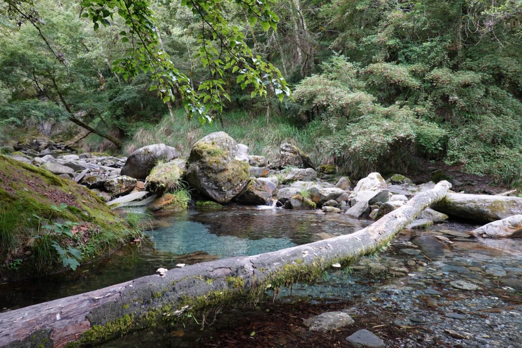 阿興阿賢｜辣辣的屏風山_1455277