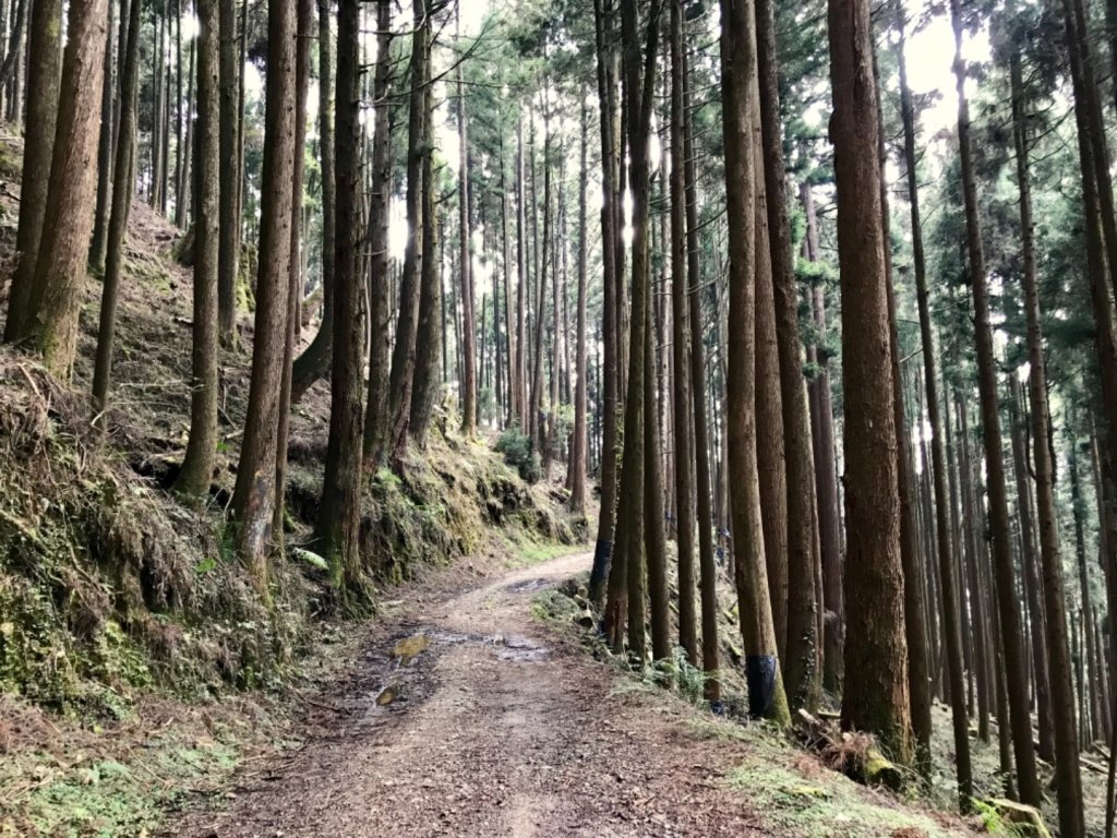 石山 石山引水道_551491