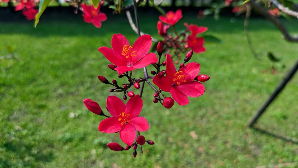 溪海花卉園區_2469962