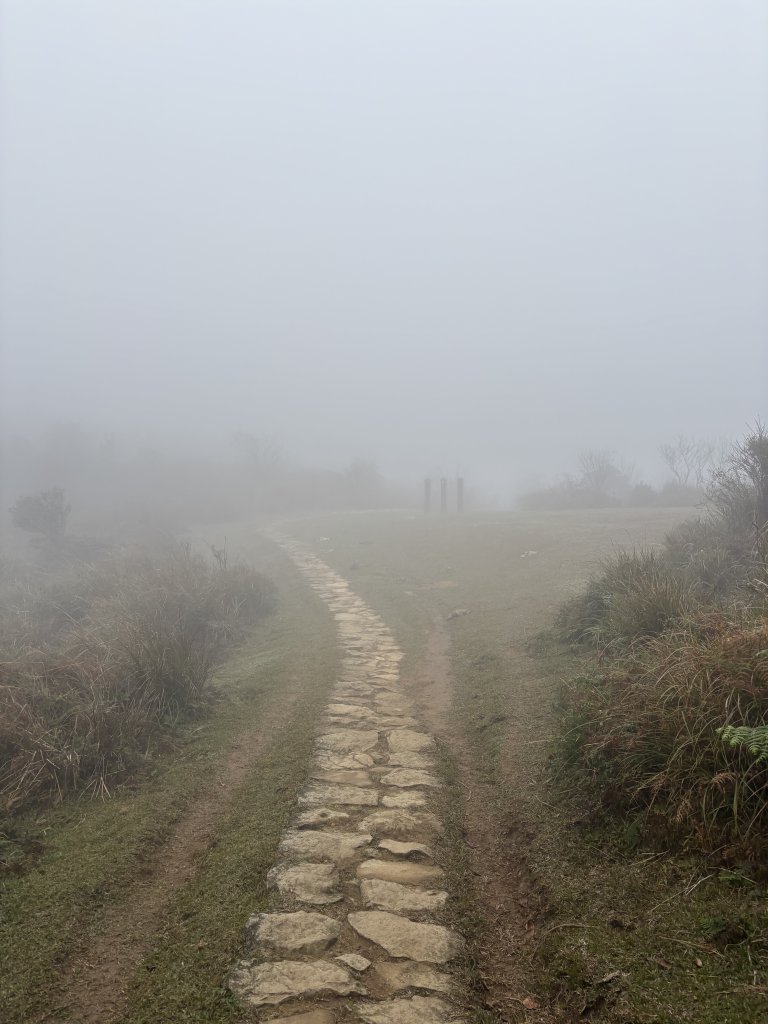 陽明山東西大縱走-東段_2984533