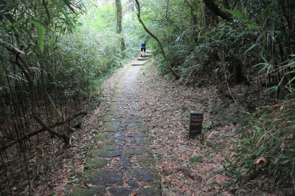 〔陽明山 〕面天山 向天山 向天池 二子坪步道。火山口湖 獨特生物蚌蟲 向天蝦（豐年蝦）_2235415