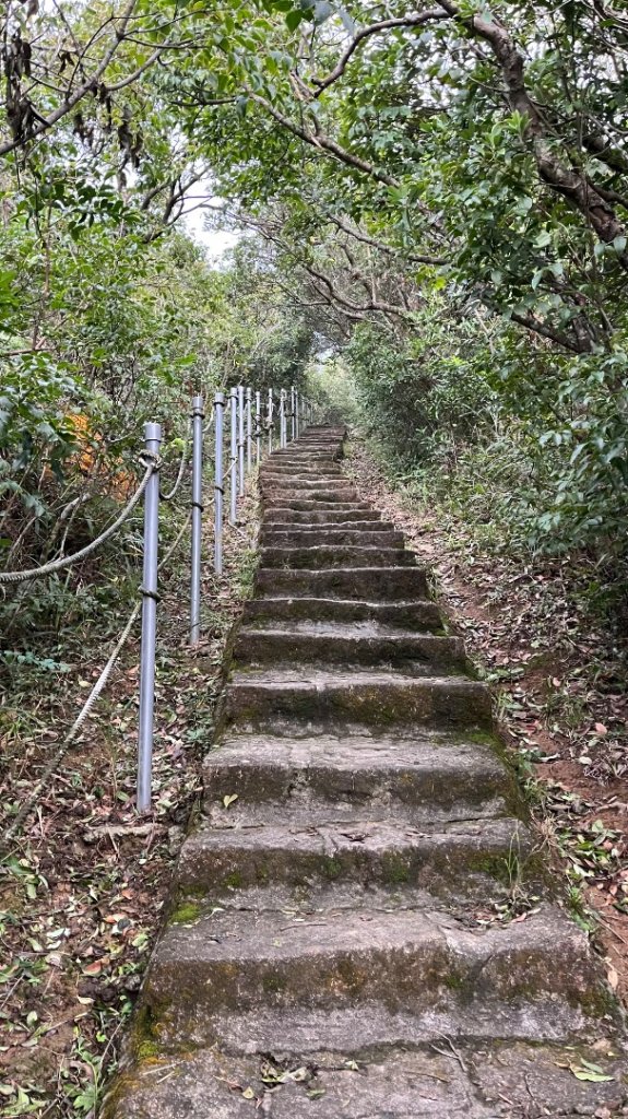 小百岳_大崙頭山_2959971