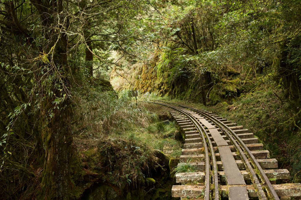 眠月線：久久不能成眠_553697