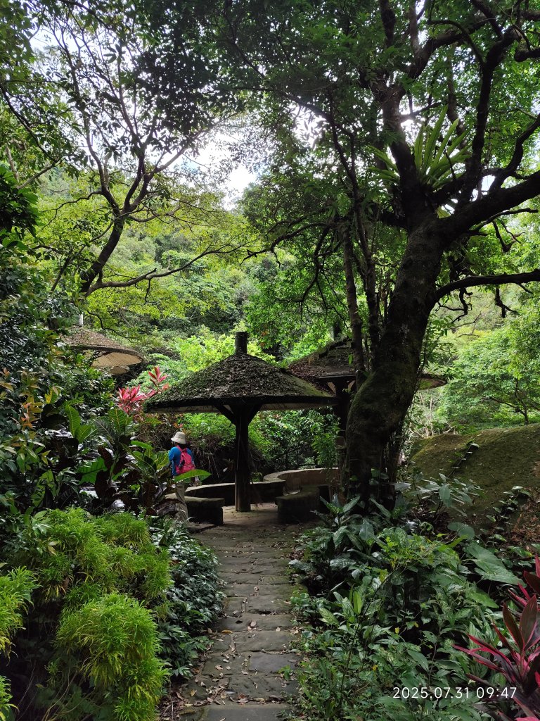 大湖公園→大溝溪生態治水園區→圓覺寺步道→圓覺瀑布→圓覺寺→鯉魚山步道【臺北大縱走 4、臺北健走趣】_2849100