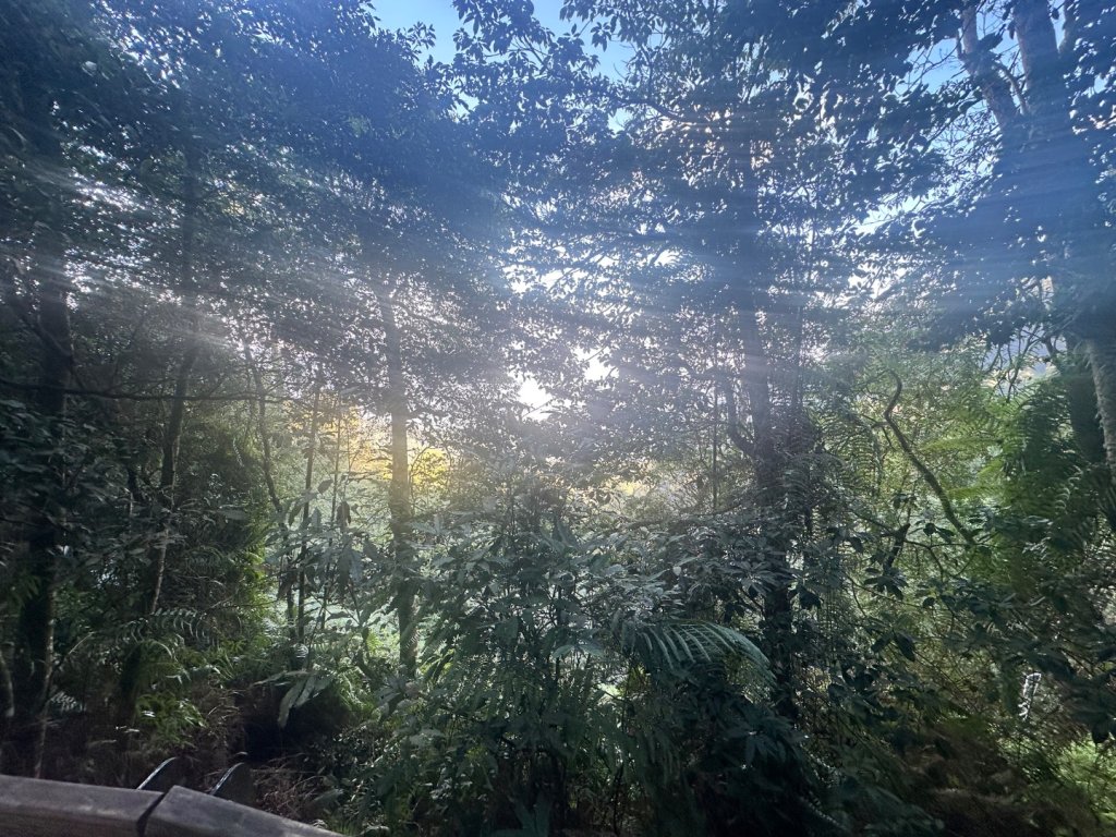 南投魚池-水社大山_2612588