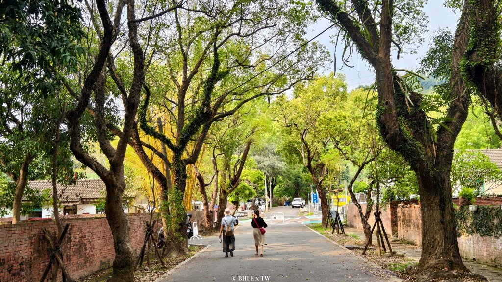 【台灣健行】霧峰．光復：日光滲透的紅磚記憶。封面圖