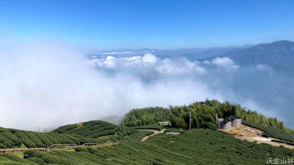 2024-10-19 雲嘉五連峰_2637373