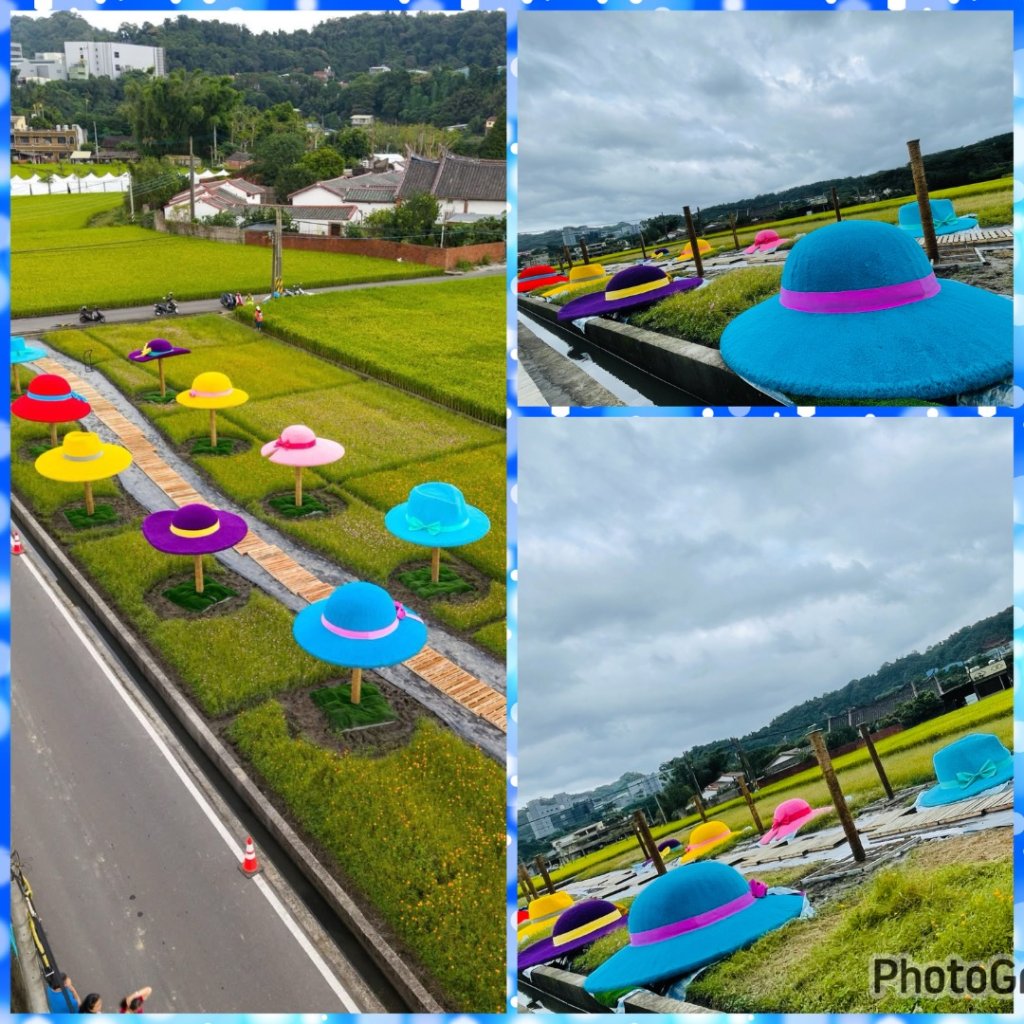 桃園大溪-花彩節🌼李騰芳古厝-月眉落雨松_2934636