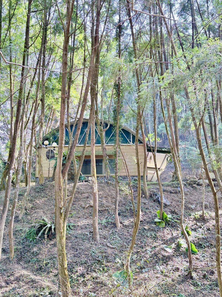 再訪八通關社寮古道登陳東坑山    2025.11.25_2946132