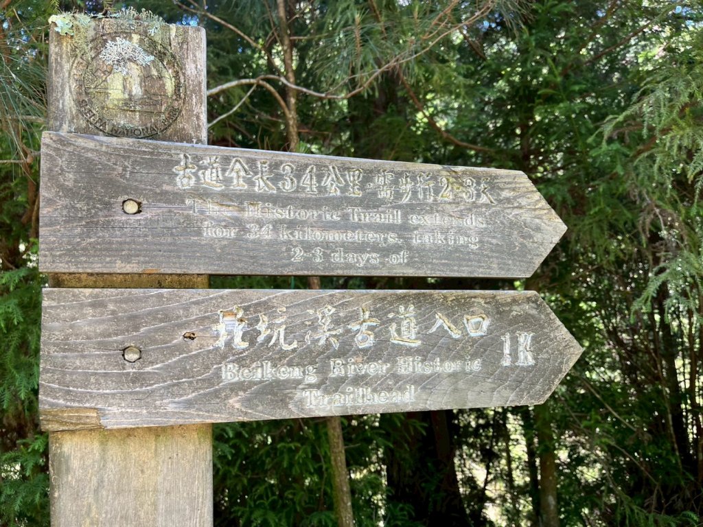 新竹 五峰 觀霧國家森林遊樂區 大鹿林道西線 榛山步道_2811381