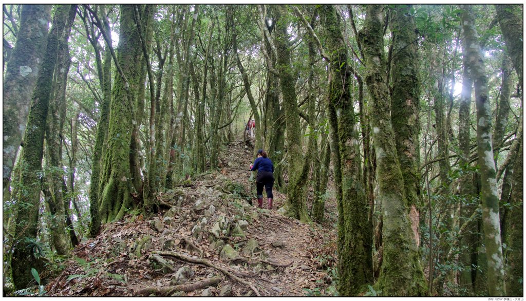 李崠山莊-李崠山-大混山_1282554