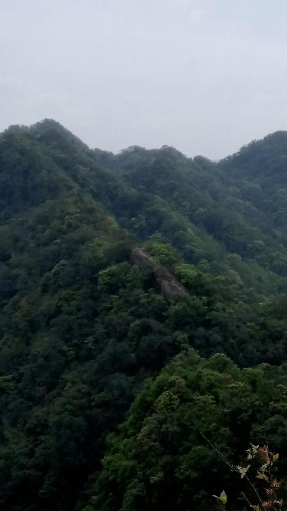 體能訓練～皇帝殿西峰→天王峰→東峰_301157