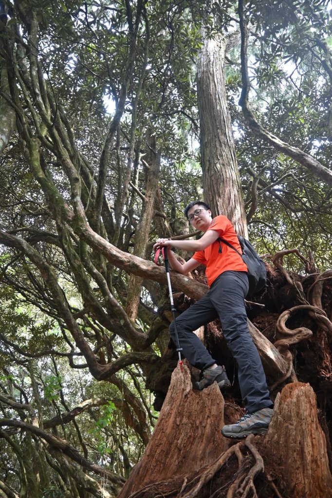 中級山-高島縱走_2888353