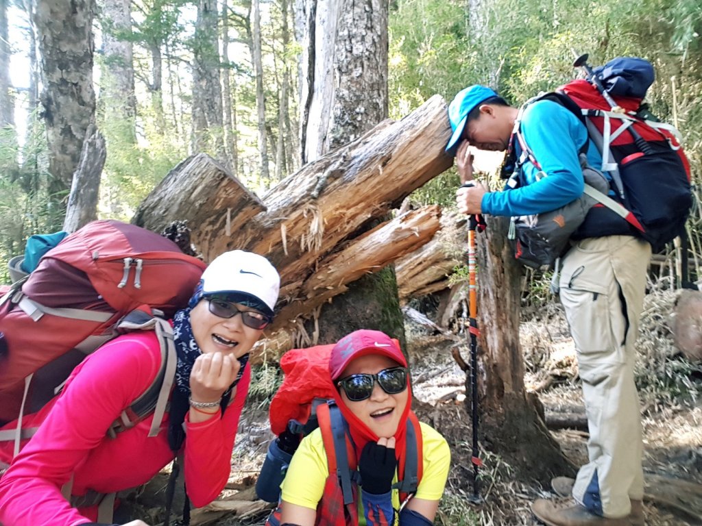 難忘的武陵四秀之品田山.池有山.桃山_854234