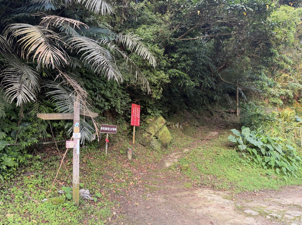 [微笑山線_第八段] 2026_0411 二格山系_西帽子岩_3034935