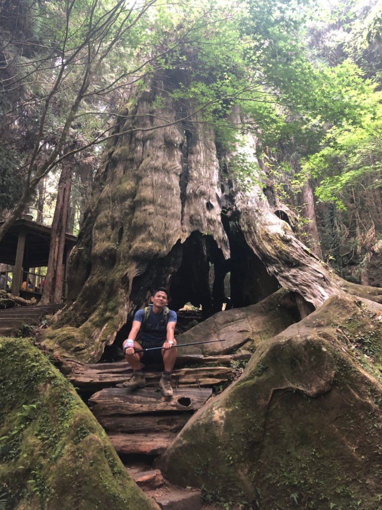 穿林棧道-松瀧岩步道-燕庵步道-杜鵑森林步道_1368157