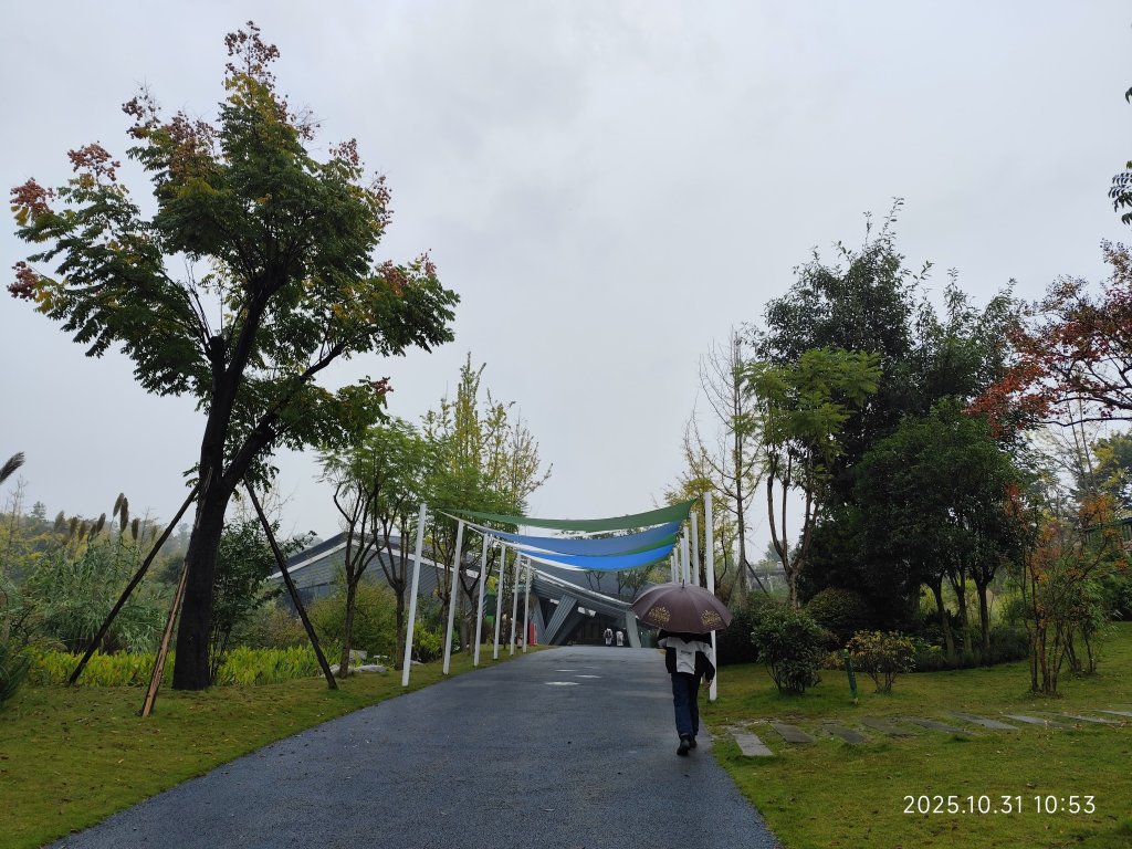 四川成都大熊貓繁育研究基地_2940725