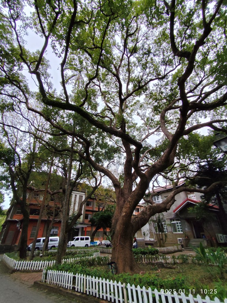 4-2 淡江高級中學→真理大學→淡水紅毛城出入口→光映淡水_2689645