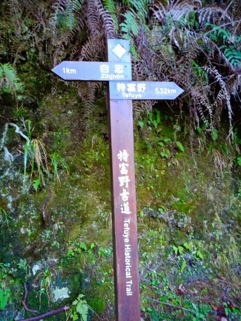 特富野親子遊_1661757