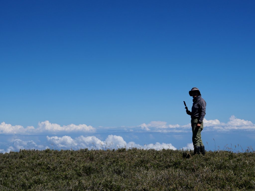 馬比杉山-2021/10/05_1489436