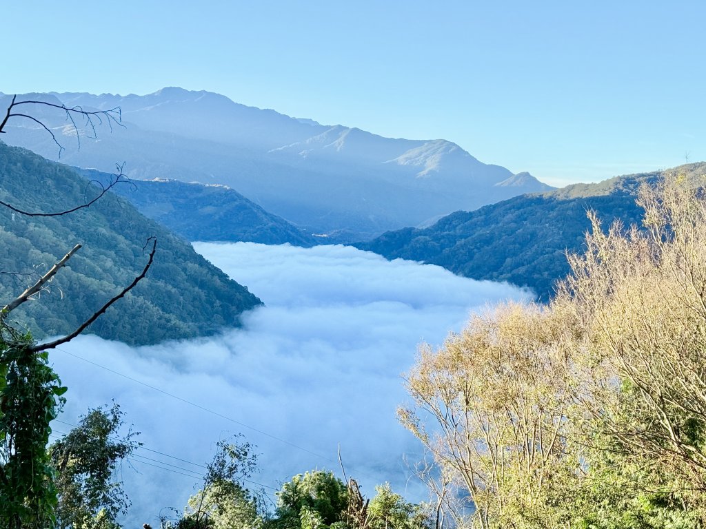 南投仁愛鄉基石巡禮-櫻櫻峰東北峰.清境山.岬山.關頭山北峰  2024.11.11封面圖