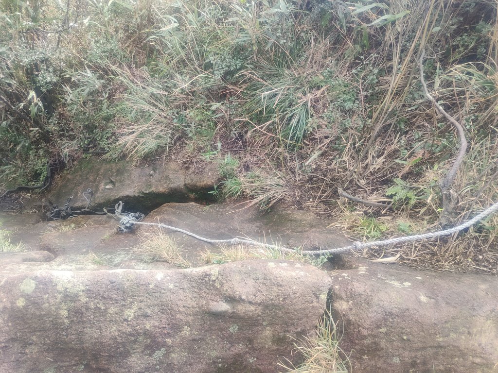 陽明山西大縱山:_2678835