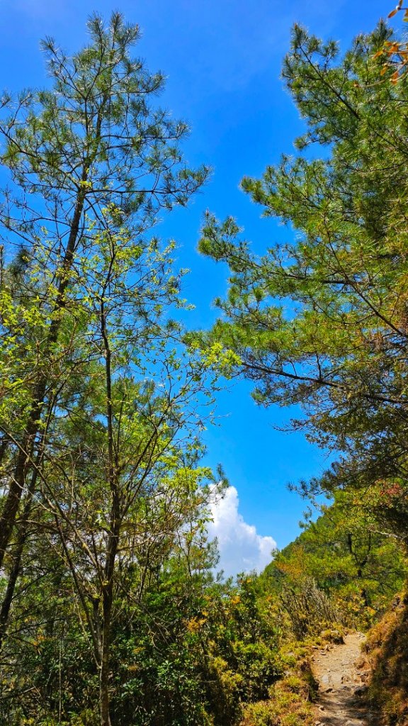 112.04.16 玉山前峰_2123752