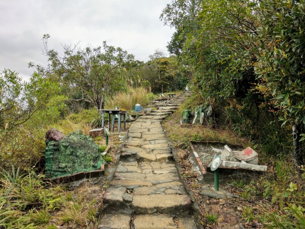 大溝溪步道--鯉魚山步道_817330