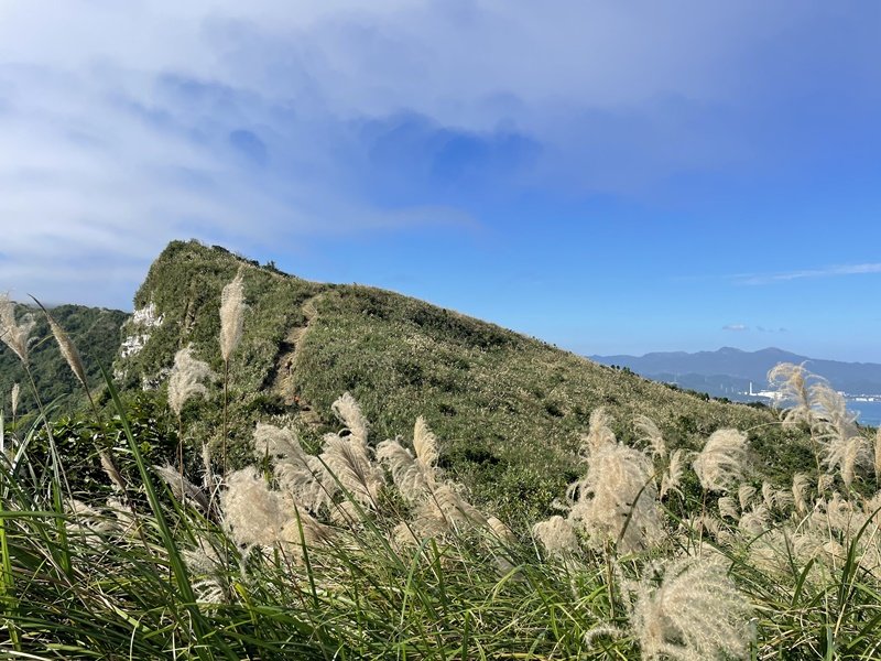 雪山尾稜封面圖